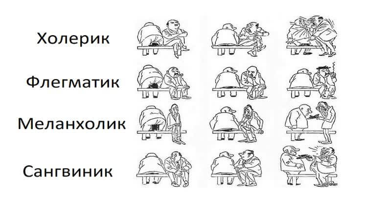 Поведение при различном темпераменте
