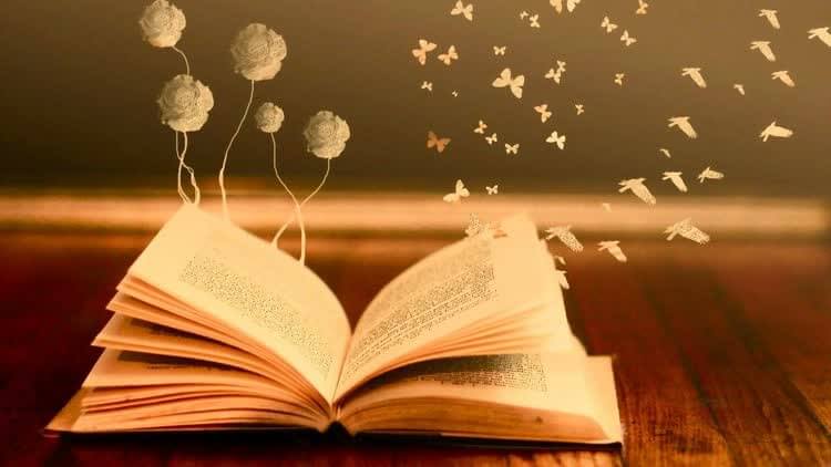 книга с вылетающими птицами бабочками и цветами